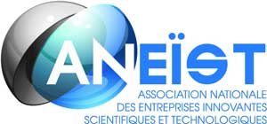 logo aneist